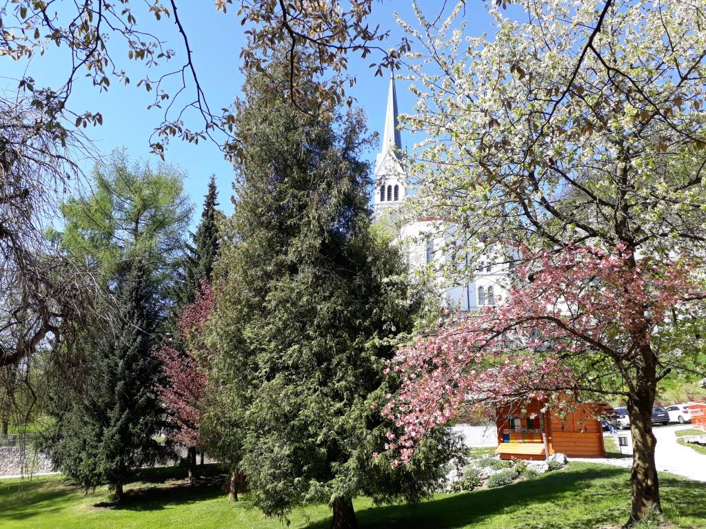 Bled 5