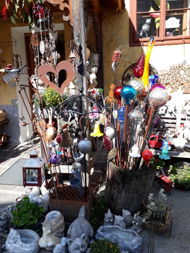 20190811_101213_resized_1