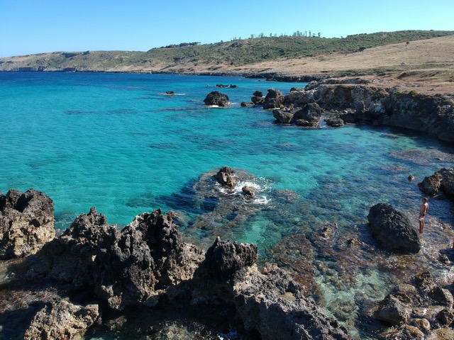 PHOTO-2019-07-30-09-48-13