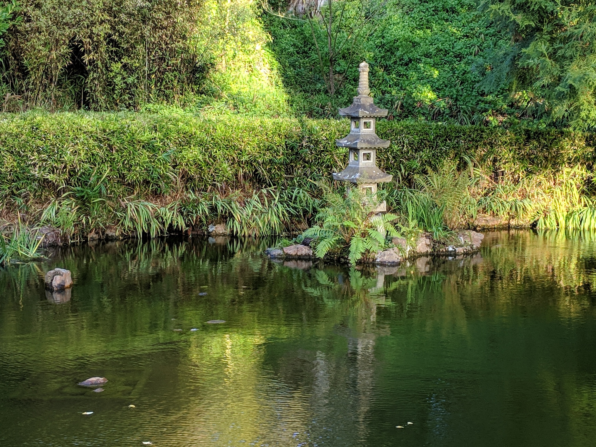 IMG_20191119_153843_resized