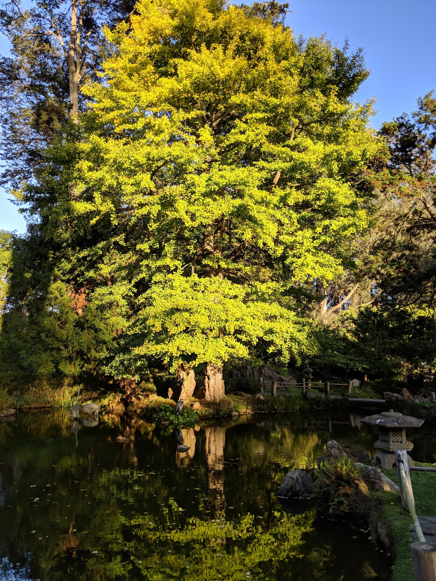 IMG_20191119_153933_resized