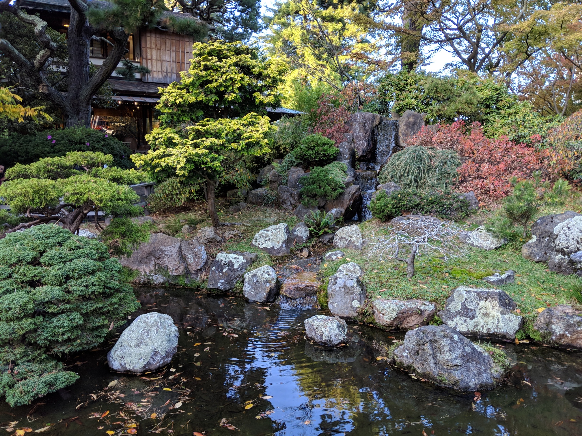 IMG_20191119_154644_resized