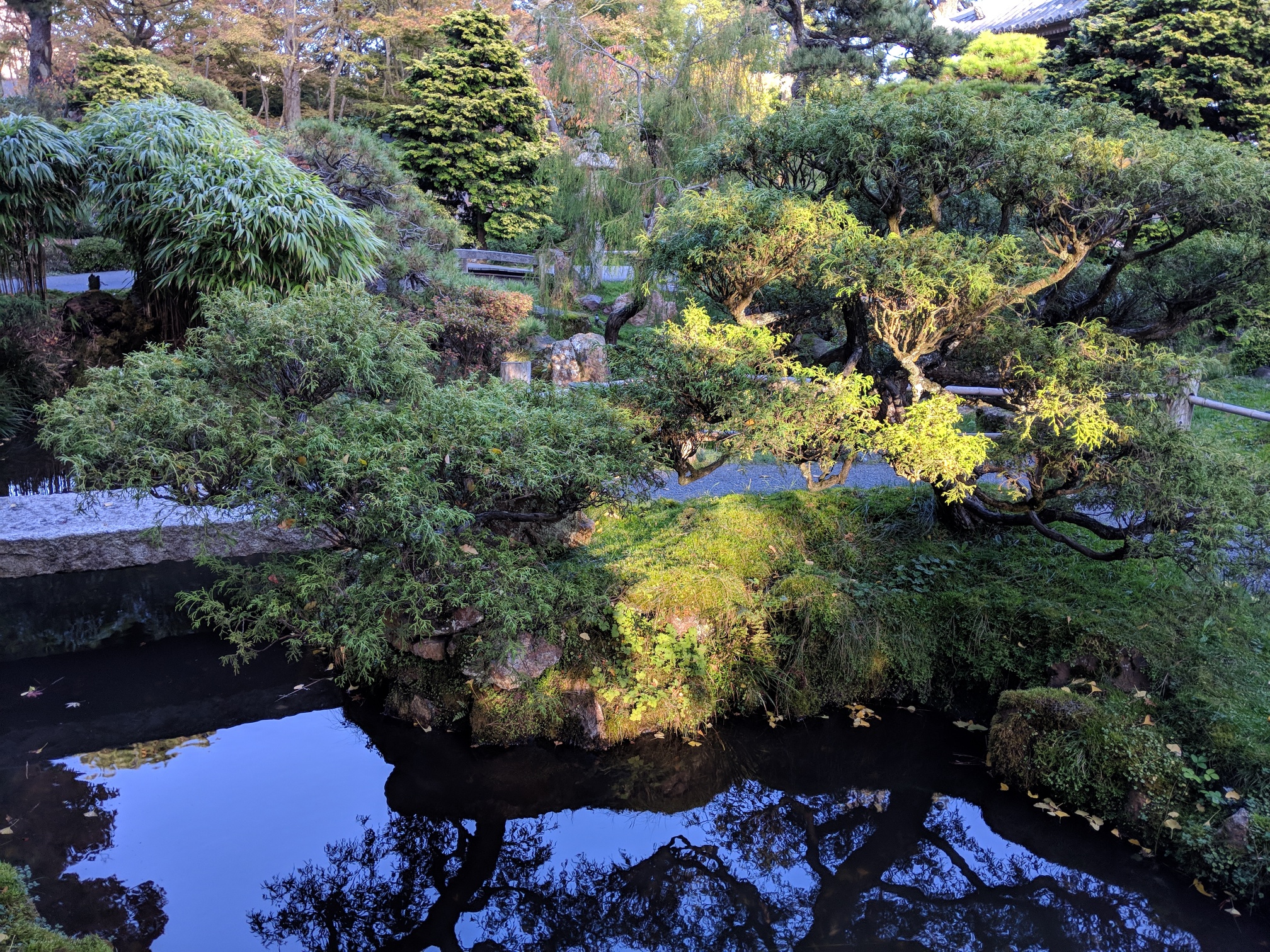 IMG_20191119_154718_resized