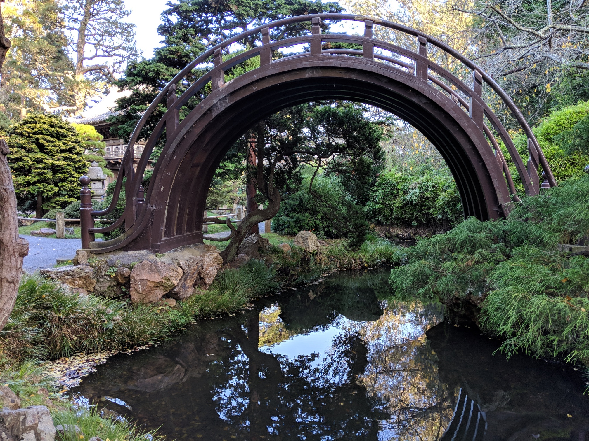 IMG_20191119_154736_resized