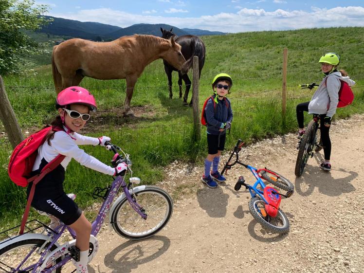 IMG-20200601-WA0023-1